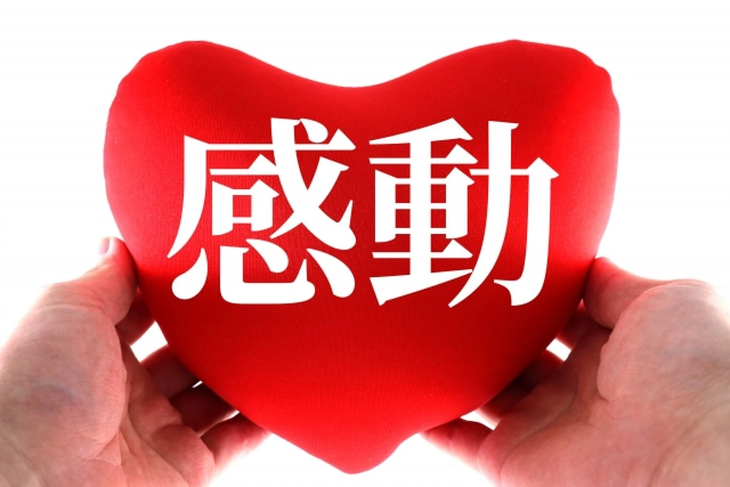 画像8735